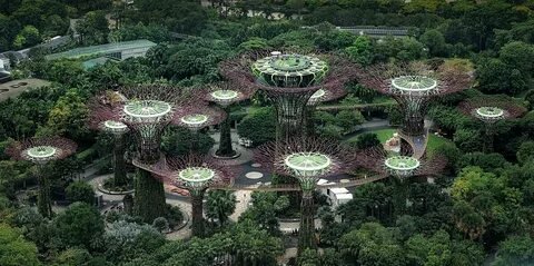 Gardens by the Bay Supertrees